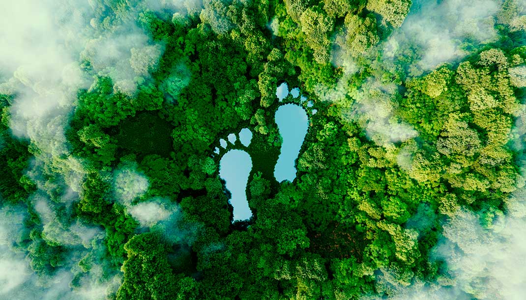 ALT IMAGEDos pies en el bosque dando una simbología al cuidado del ser humano con la huella de carbono.