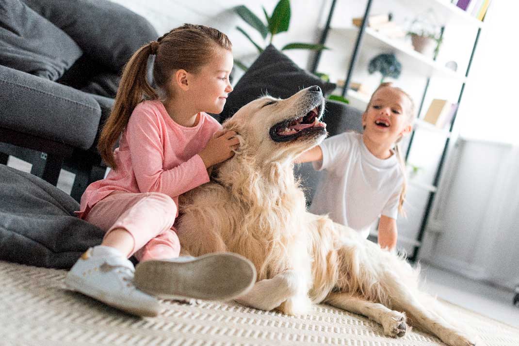 Dia de las mascotas